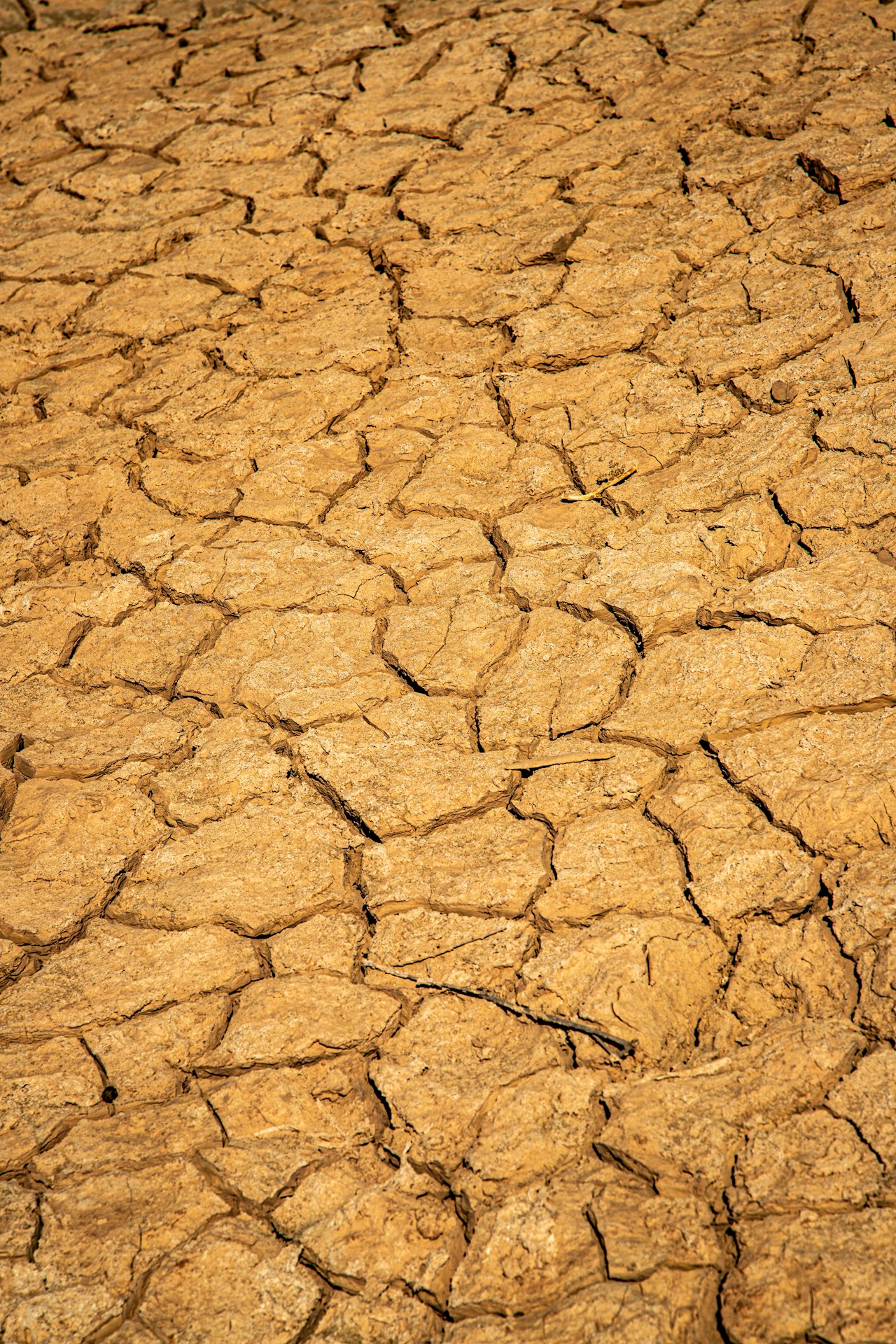 बांदा में 48°C: IMD का रेड अलर्ट, देशभर में हीटवेव का कहर