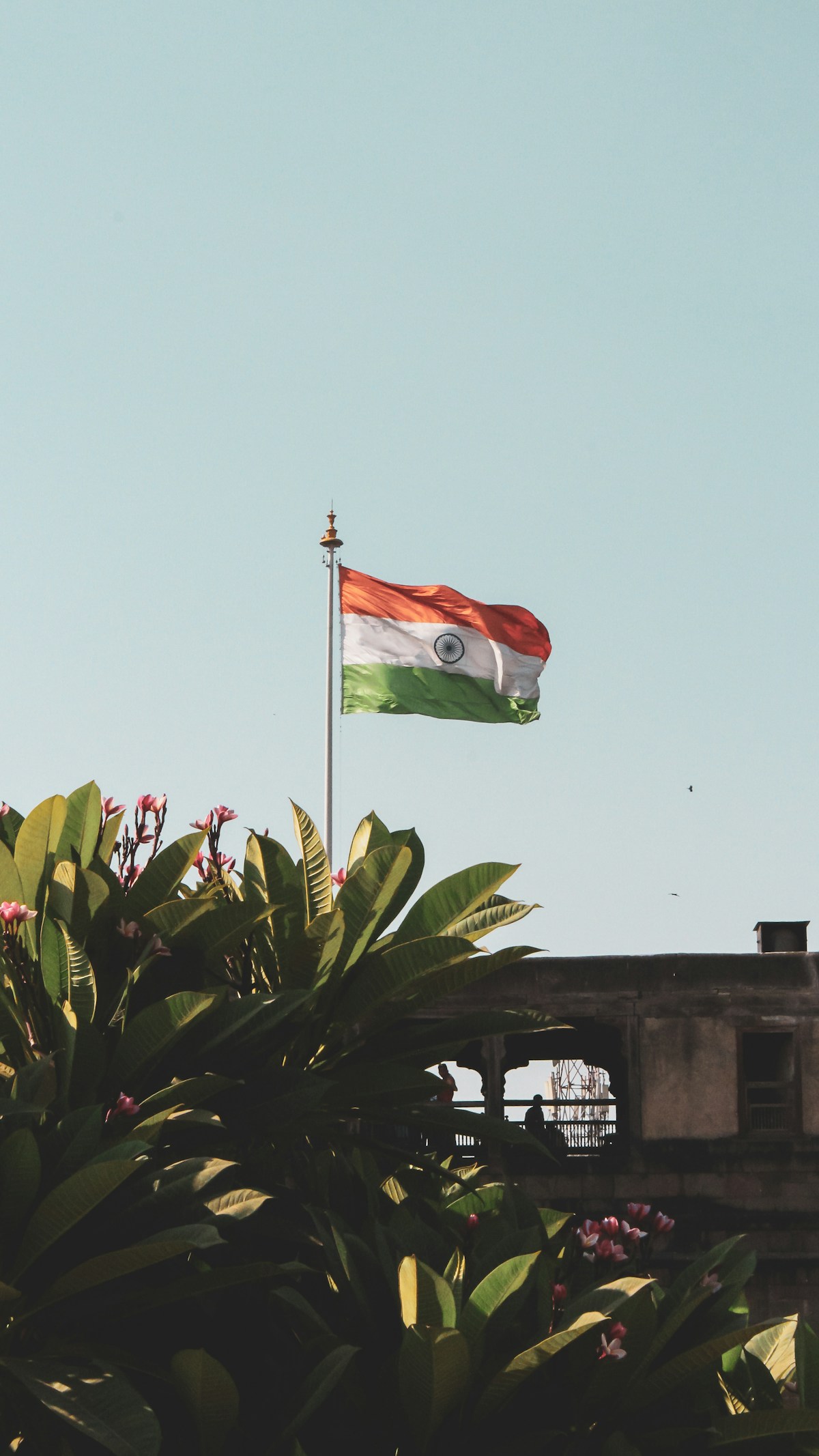 चुनाव आयोग की सफाई: ‘SIR पर सभी फैसले सर्वसम्मति से’, आयुक्तों के मतभेद की खबरों पर लगाया विराम